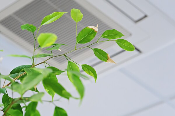HVAC Heating Air Conditioning and Ventilation Solutions from Johnson Controls